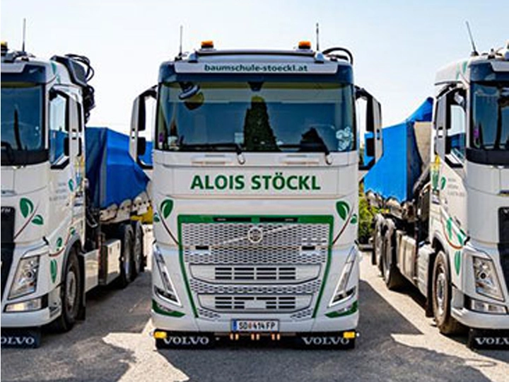 Galerie-Bild 2: Baumschulen Alois Stöckl GmbH aus Zell an der Pram von STÖCKL ALOIS GmbH Baumschulen, Baumschule