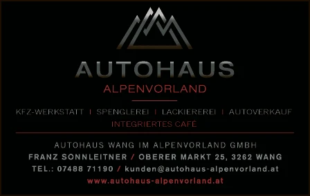Print-Anzeige von: Autohaus Wang im Alpenvorland GmbH.