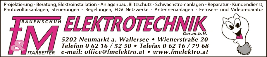 Print-Anzeige von: F & M Elektrotechnik GmbH