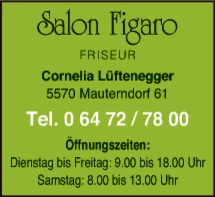 Print-Anzeige von: Lüftenegger, Cornelia, Friseur