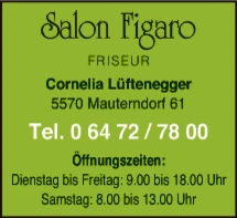 Print-Anzeige von: Lüftenegger, Cornelia, Friseur Print-Anzeige von: Lüftenegger, Cornelia, Friseur