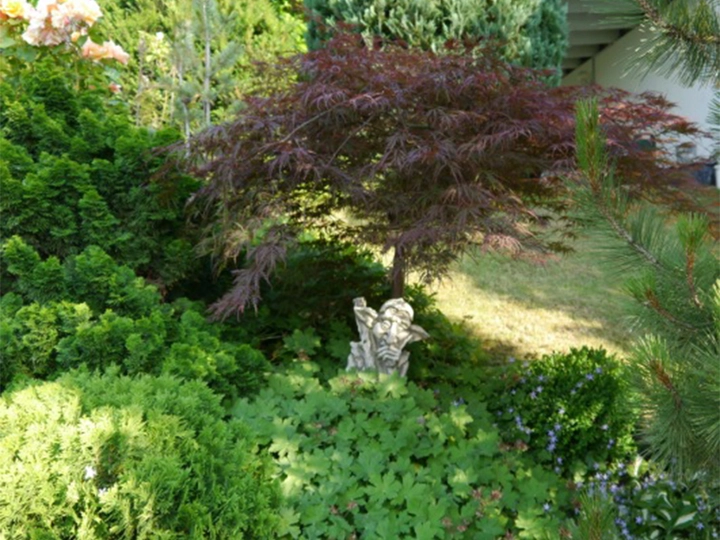 Galerie-Bild 1: René Neuhold aus Tulln an der Donau von Neuhold, Rene, Gartenbau