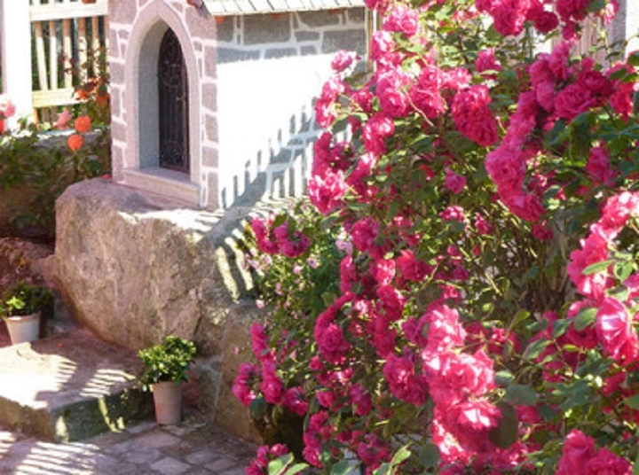 Galerie-Bild 3: Schmankerl Wirt aus Vorderweißenbach von Schmankerl Wirt, Gastronomie