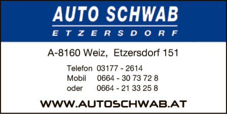 Print-Anzeige von: THS Service KG, Autohandel