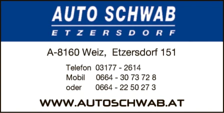 Print-Anzeige von: THS Service KG, Autohandel