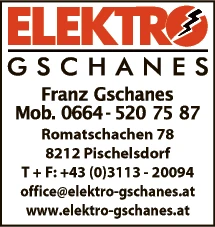 Print-Anzeige von: Gschanes, Franz, Elektro