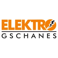 Bild von: Gschanes, Franz, Elektro 