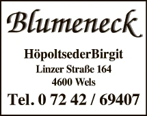 Print-Anzeige von: Höpoltseder, Birgit, Blumenhandel