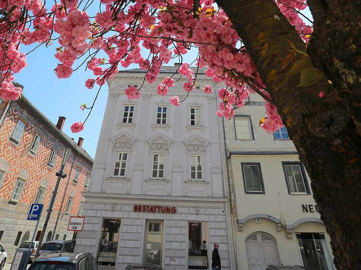 Galerie-Bild 1: Bestattung der Stadt Wels GesmbH aus Wels von Bestattung der Stadt Wels GmbH