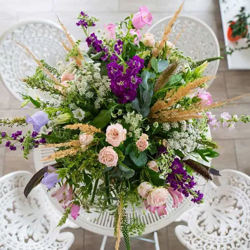 Galerie-Bild 4: Melanie`s Gänseblümchen aus Grafenschlag von Melanie`s Gänseblümchen, Blumen
