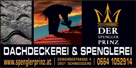 Print-Anzeige von: Der Spengler Prinz, Inh. Andreas Heinzl, Spenglerei-Dachdeckerei