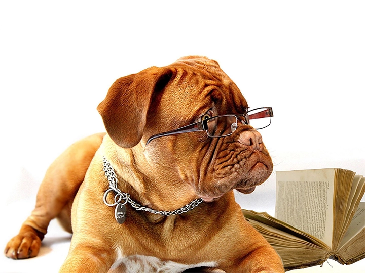 Galerie-Bild 3: Sehmanufaktur Litzenberger e.U. aus Zwettl von Sehmanufaktur Litzenberger e.U.