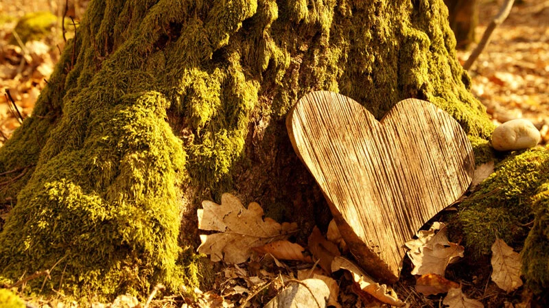 Bestattung in Leibnitz | Holzherz am Baum gelehnt
