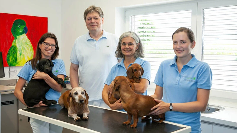 Kompetente Betreuung von Haustieren in der Tierarztpraxis Reitzinger: Das Team kümmert sich fürsorglich um Hunde in einem hellen und professionellen Behandlungsraum.