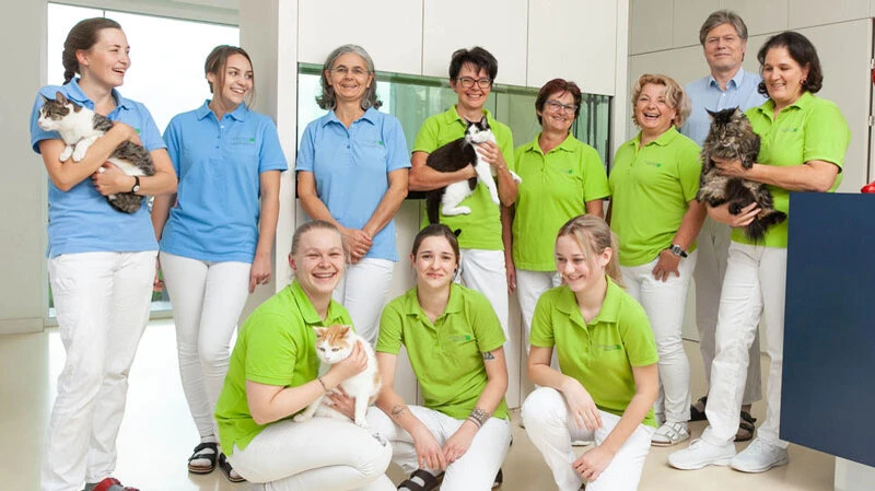 Das Team der Tierarztpraxis Reitzinger zeigt seine Expertise und Fürsorge für Katzen, unterstützt durch eine freundliche und moderne Umgebung.