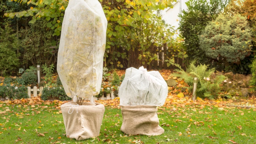 Mit einem Vlies sind Pflanzen für den Winter geschützt Pflanzen in Töpfen geschützt für den Herbst mit einem Vlies